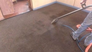 During Carpet Cleaning