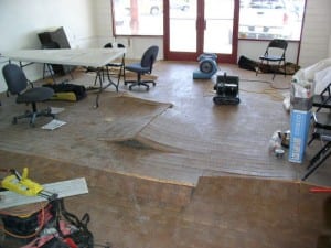 Damage Repair Damage Repair