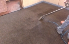 Carpet Cleaning During