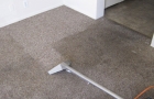 Carpet Cleaning During