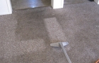 Carpet Cleaning During