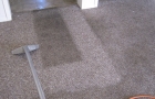 Carpet Cleaning During