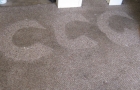 Carpet Cleaning During