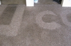 Carpet Cleaning During