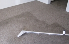 Carpet Cleaning During